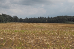 akker#(20210830)a landschappen