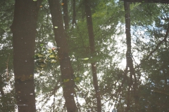 spreng#(20200905)a landschappen