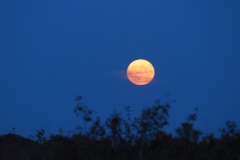 maan#(20230929) landschappen