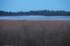 ginkelse heide#(20231016)a landschappen