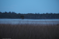 ginkelse heide#(20231016)b landschappen