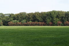 akker#(20211017)a landschappen