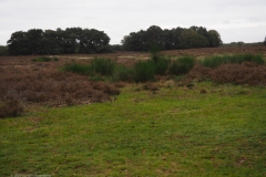 blaricumse hei#(20231019) landschappen