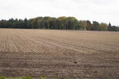 akker#(20231022) landschappen