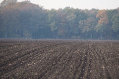akker#(20181103) landschappen