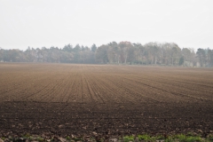 akker#(20241110) landschappen