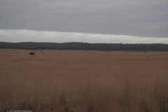 hoog soeren#(20211124) landschappen