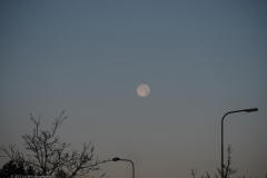 maan#(20231128)a landschappen