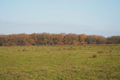 akker#(20201129) landschappen