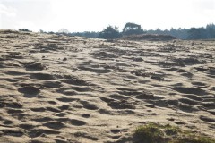 zand#(20201205)b