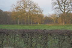 hackfort#(20211210) landschappen