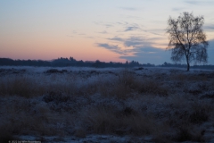 sunrise ginkelse heide#(20221214)a landschappen