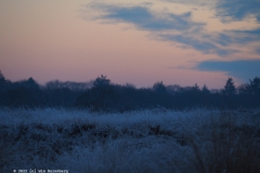 sunrise ginkelse heide#(20221214)c landschappen