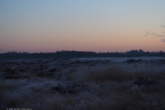 sunrise ginkelse heide#(20221214)a landschappen