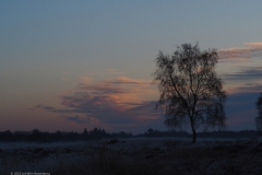 sunrise ginkelse heide#(20221214)d landschappen