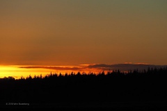 sunset ginkelse heide#(20181224)c landschappen