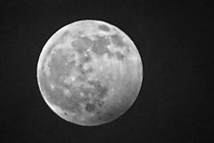 maan#(20200110) landschappen