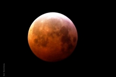 maan#(20190121) landschappen