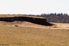 zuidginkel#(20180320)b landschappen