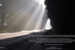 zonnestralen#(20171125) blogs