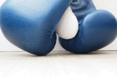 bokshandschoenen#(20180220)b blogs