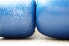 bokshandschoenen#(20180220)a blogs