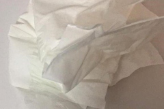 snotlap#(20181206) blogs