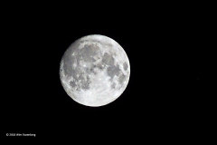 maan#(20180923) blogs