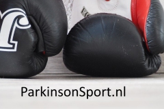 bokshandschoenen#(20171018)c blogs