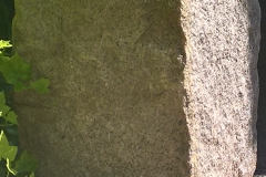 zitsteen#(20170614) blogs