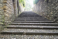 trap#(20180518) blogs