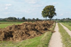 es#(20250928) bomen