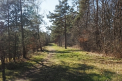 bomen#(202503147)b bomen