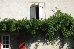 bladanel#(20110729) deuren