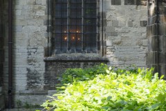 denbosch#(20250516) a deuren