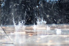 regendruppels#(20180529) diversen