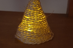 kerstboom#(20221225) diversen