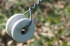 isolator#(20260304) diversen