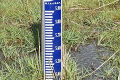 peilschaal#(20260316) diversen