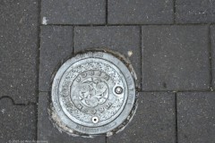 putdeksel#(20250516) diversen