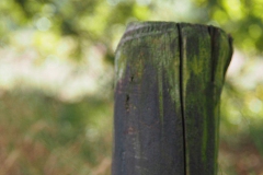 paal#(20170824) diversen