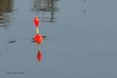 dobber#(20250928) diversen