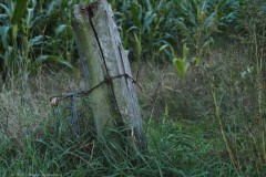paal#(20250929) diversen