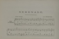 elburg#(20251104)b diversen