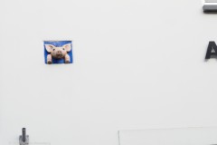 gevelsteen#(20251106)c diversen