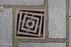 kolk#(20190621) diversen