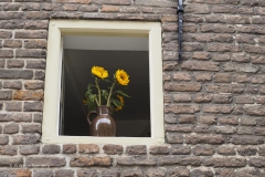 vaas#(20190621)c diversen