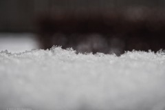 sneeuw#(20240116)a diversen