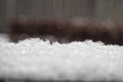 sneeuw#(20240116)b diversen