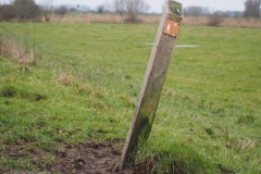 paal#(20230122) diversen